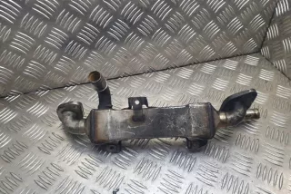 038131513L Радиатор EGR Ford Galaxy 1 Арт e12266729, вид 1