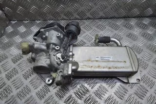 03L131512CC Радиатор EGR Audi A4 B7 Арт e12265663, вид 1