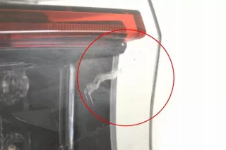 81560F4031 Фонарь задний левый Toyota C-HR Арт e12256722, вид 2