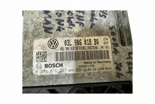 03L906018BQ Блок управления двигателем Skoda Superb 2 Арт e12244772, вид 4
