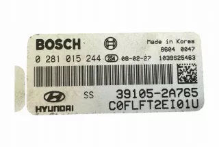 0281015244 Блок управления двигателем Hyundai i30 FD Арт e12242117, вид 2