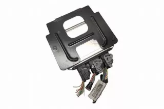 9664618080 Блок управления двигателем Citroen Berlingo 2  Арт e12241097, вид 1