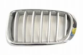 7210725 Решетка радиатора BMW X3 F25 Арт e12238512, вид 1