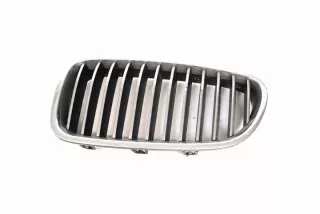 7200727 Решетка радиатора BMW 5 F10/F11/GT F07 Арт e12238309, вид 1