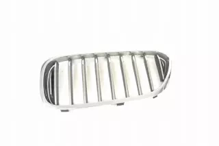 7390863 Решетка радиатора BMW 5 G30/G31 Арт e12238298, вид 1