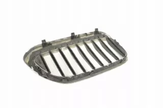 7390863 Решетка радиатора BMW 5 G30/G31 Арт e12238298, вид 4