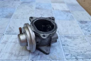 038131501AN Клапан EGR Seat Toledo 3 Арт e12235059, вид 1