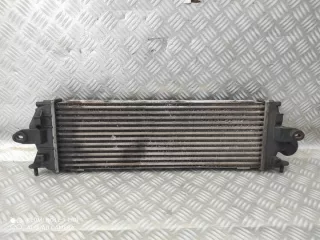 8200411160 Интеркулер Opel Vivaro A Арт e12212804, вид 4