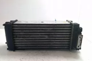876923JD Интеркулер Citroen C3 2 Арт e12212699, вид 1