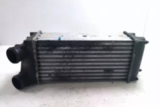 876923JD Интеркулер Citroen C3 2 Арт e12212699, вид 2