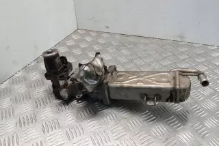 03L131512CF Радиатор EGR Skoda Superb 2 Арт e12212204, вид 1