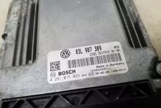 03L907309 Блок управления двигателем Volkswagen Golf 5 Арт e12174366, вид 1