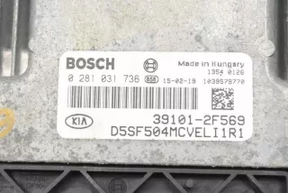 391012F569 Блок управления двигателем Kia Sportage 4 Арт e12170733, вид 1