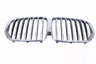 7454888 Решетка радиатора BMW X5 G05  Арт e12166522, вид 1