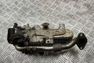 038131513AD Клапан EGR Seat Altea Арт e12162386, вид 1