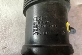 06H129829G Гофра инжектора Audi Q5 1 Арт e12160592, вид 1