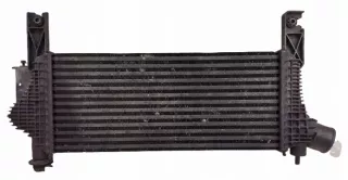 14461-5X00A 144615X00A Интеркулер Nissan Pathfinder 3 Арт e12126129, вид 1