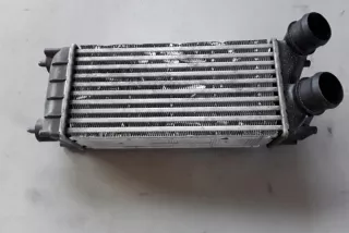 9684212480 Интеркулер Citroen Berlingo 2  Арт e12125708, вид 3