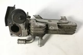 038131513AD Радиатор EGR Seat Altea Арт e12124832, вид 1