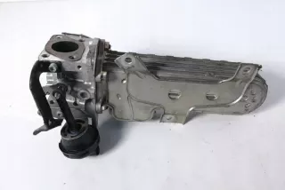 038131513AD Радиатор EGR Seat Altea Арт e12124832, вид 2