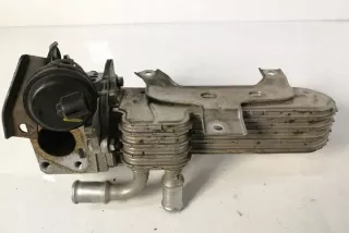 038131513AD Радиатор EGR Seat Altea Арт e12124811, вид 3