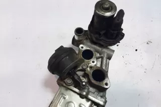 03L131512DQ Радиатор EGR Seat Alhambra 2 Арт e12124749, вид 4