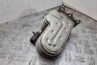 41212067F Радиатор EGR Chrysler Voyager 5 Арт e12121373, вид 2