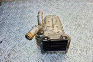 3264231 Радиатор EGR Chrysler Voyager 5 Арт e12121372, вид 4
