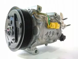 1300F, 1310F, 1317F, 1327E, 1327F, Компрессор кондиционера Citroen C5 2 Арт e12083544, вид 1
