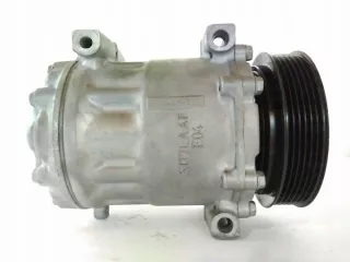 1300F, 1310F, 1317F, 1327E, 1327F, Компрессор кондиционера Citroen C5 2 Арт e12083544, вид 4