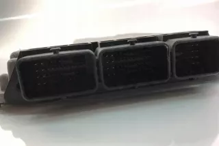 0281030685 Блок управления двигателем Nissan Qashqai 2 Арт e12060154, вид 1