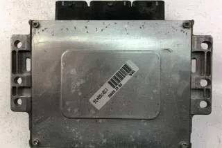 9650133080 Блок управления двигателем Citroen C5 1 Арт e12058931, вид 1
