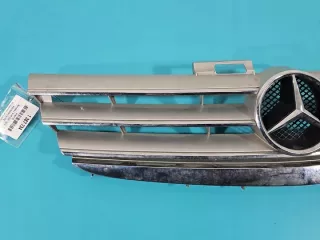 IMPRK1387734, 1698800583 Решетка радиатора Mercedes A W169 Арт e12047397, вид 2