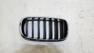 7309775 Решетка радиатора BMW X5 F15 Арт e12046831, вид 1