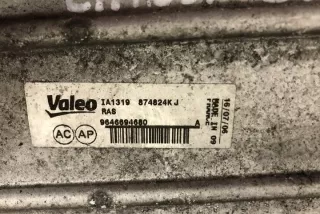 874824KJ Интеркулер Citroen C4 1 Арт e11990720, вид 1