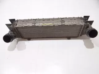 N47D20C Интеркулер BMW X3 F25 Арт e11990630, вид 1