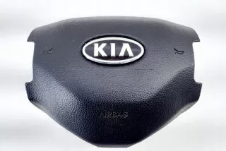 569003U100 Подушка безопасности Kia Sportage 5 Арт e11971608, вид 2