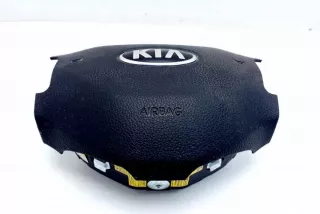 569003U101 Подушка безопасности Kia Sportage 5 Арт e11971607, вид 2