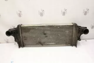 W251, A2515000000 Интеркулер Mercedes GL X164 Арт e11960238, вид 1