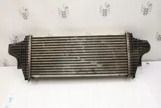 W251, A2515000000 Интеркулер Mercedes GL X164 Арт e11960238, вид 2