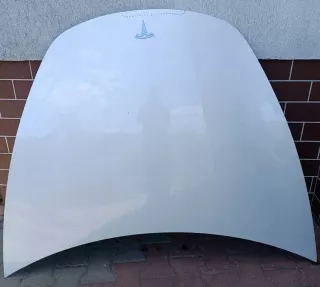 2018-2022 TESLA3MASKA Капот Tesla model 3 Арт e11951882, вид 1