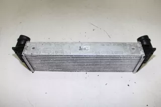 7805629 BM13003DE Интеркулер BMW 5 F10/F11/GT F07 Арт e11941376, вид 4