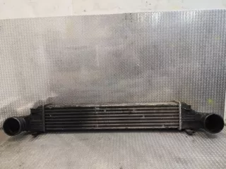 2115003902 Интеркулер Mercedes E W211 Арт e11906293, вид 1