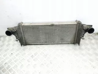 A2515000000 Интеркулер Mercedes ML W164 Арт e11873609, вид 1