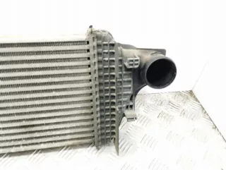 A2515000000 Интеркулер Mercedes ML W164 Арт e11873609, вид 2