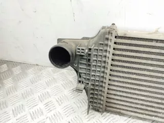 A2515000000 Интеркулер Mercedes ML W164 Арт e11873609, вид 3