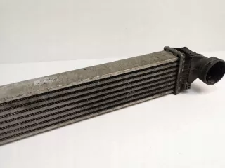 A1695000000 Интеркулер Mercedes A W169 Арт e11873569, вид 3