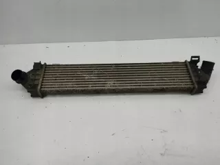 880291U Интеркулер Ford Kuga 1 Арт e11873427, вид 1