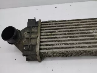 880291U Интеркулер Ford Kuga 1 Арт e11873427, вид 3