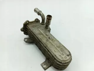 038131513 Радиатор EGR Volkswagen Golf 5 Арт e11872808, вид 4